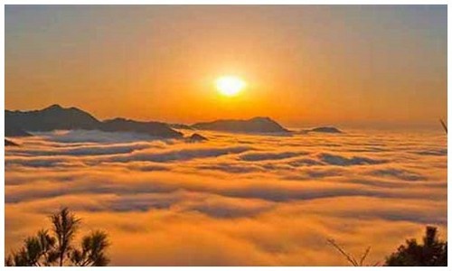 2026最新龙岛异兽官网活动安卓苹果都能玩吗？附礼包码领取攻略